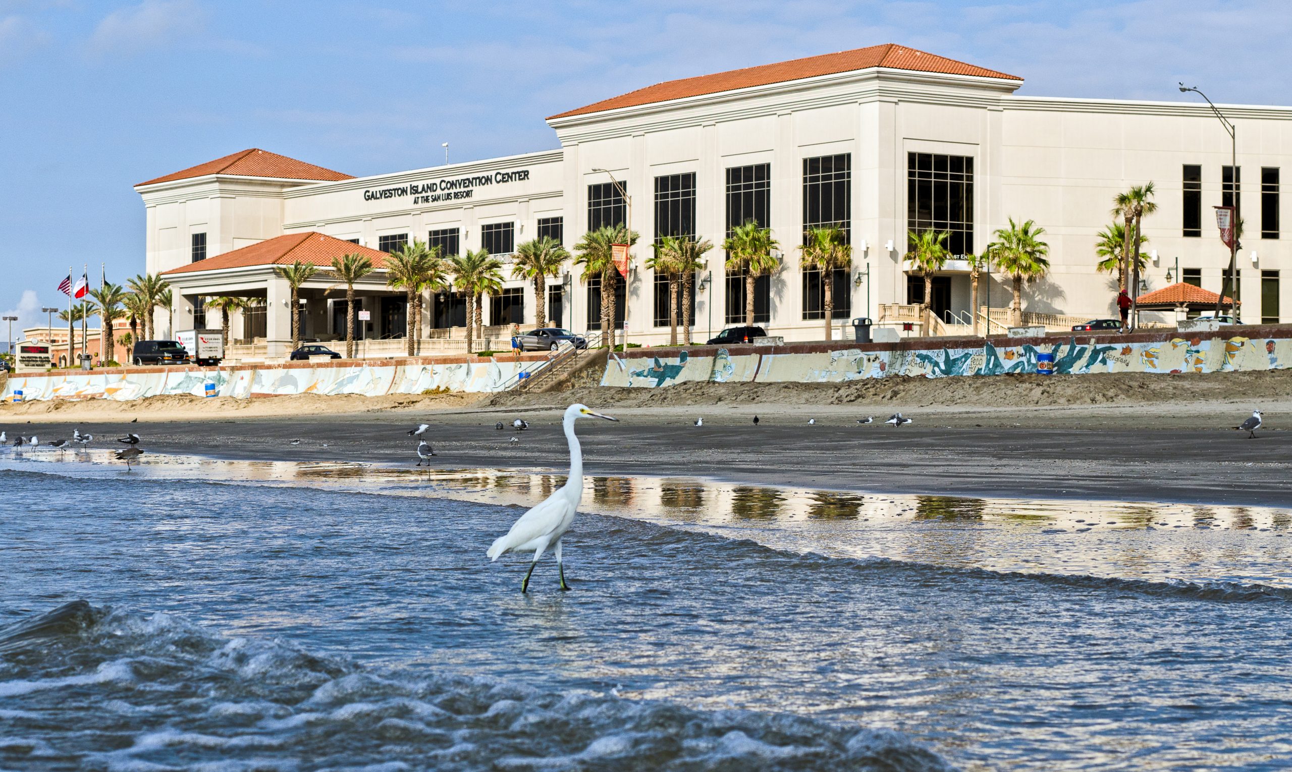 Galveston Mobility Scooter Rental and Free Delivery to all Galveston Attractions, Events, Festivals and more!